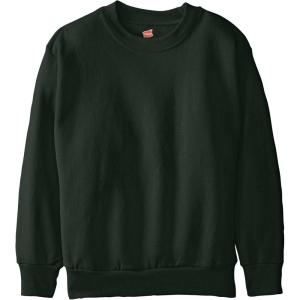 Hanes Boys’ EcoSmart Sweatshirt, Cotton Crewneck Pullover, Kids’ Fleece Sweatshirt(Deep Forest)