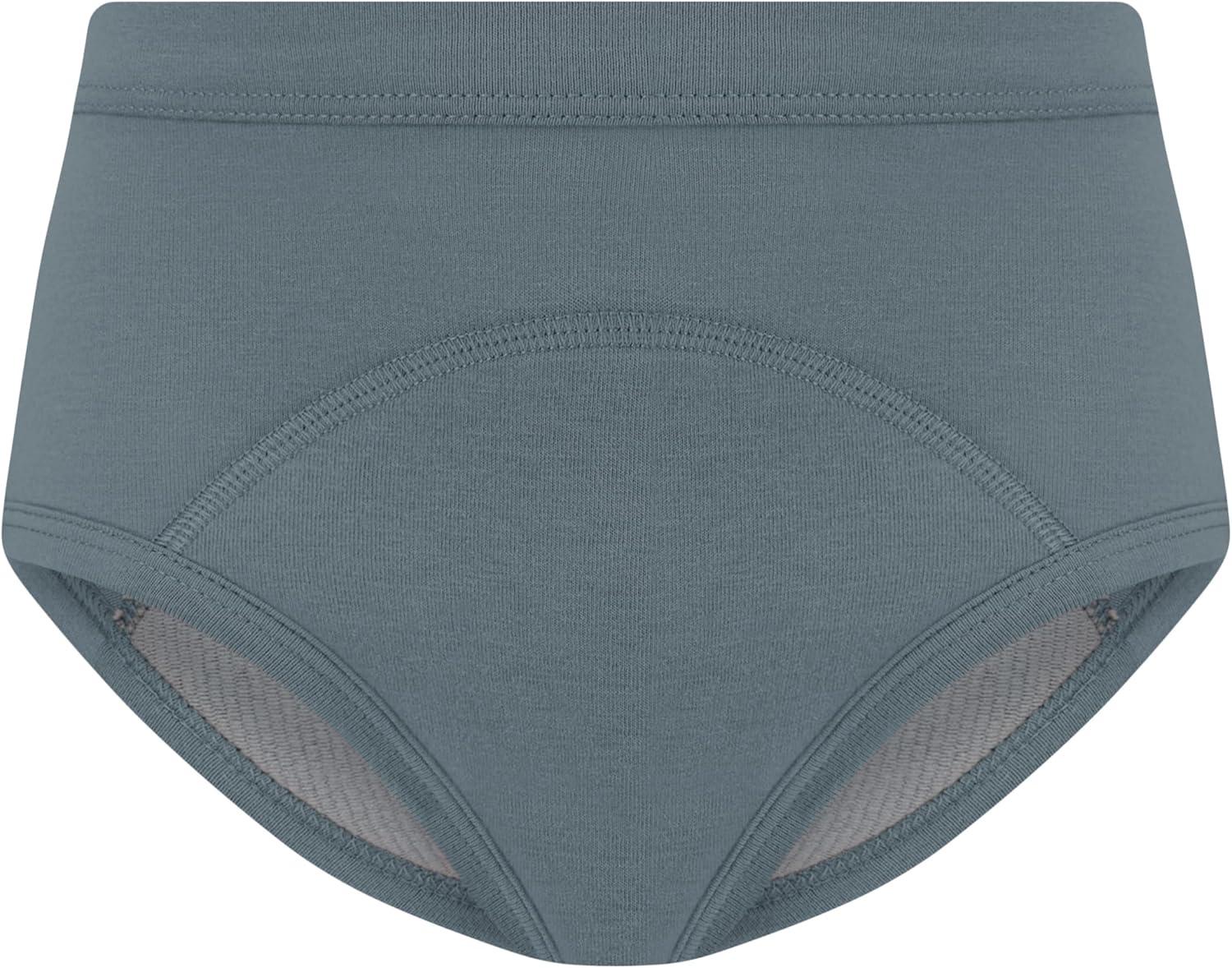 imageHanes babyboys Potty Training Underwear Brief Heavy Absorbency Toddler Boys Cotton Training Underwear 5 PackBlue 5 Pack