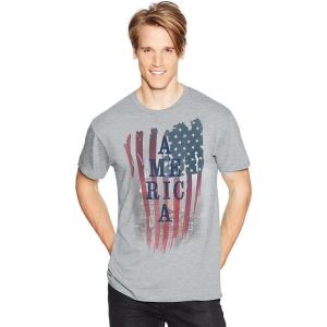 Hanes Mens Essentials Short Sleeve Graphic Tee(America Us)