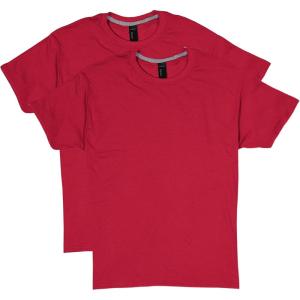 Hanes Mens X-Temp Performance T-Shirt Pack, Cotton Blend Moisture-Wicking Tees for Men, 2-Pack(Deep Red)