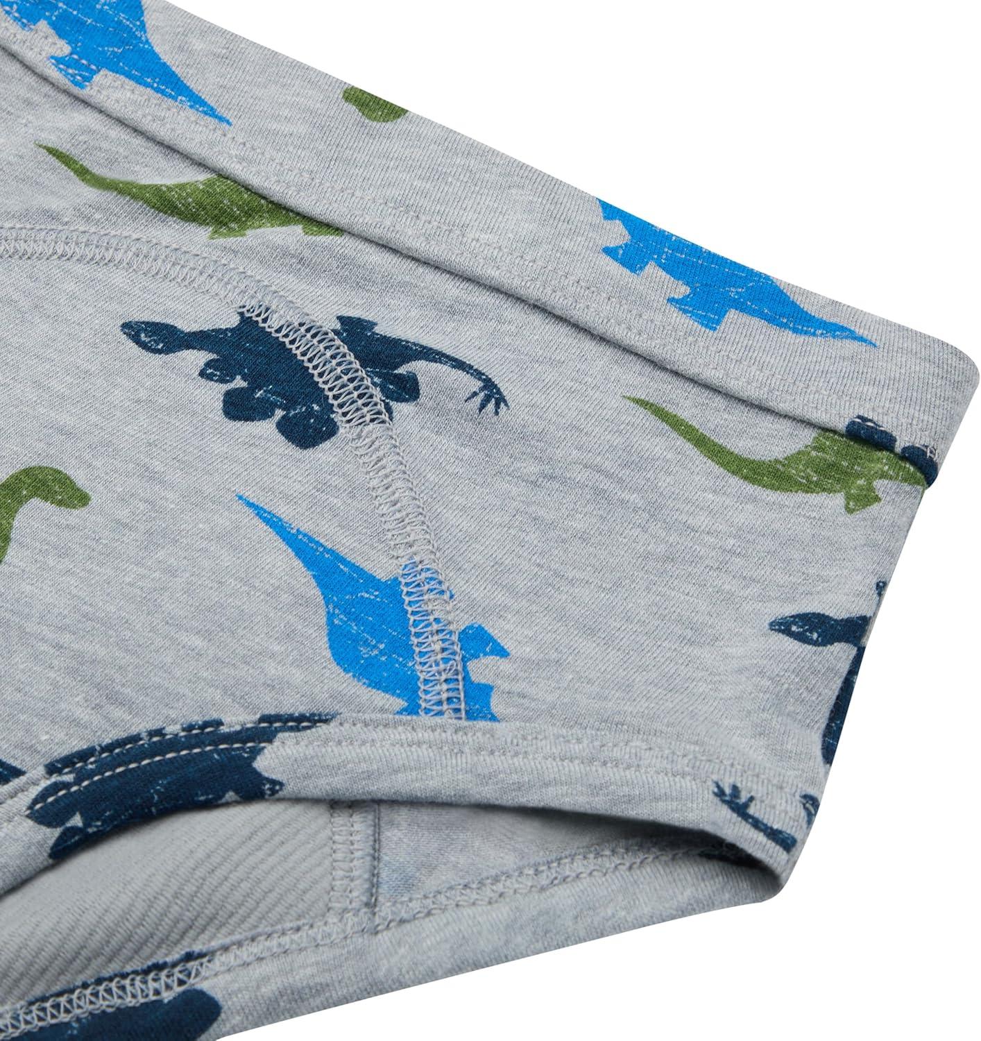 imageHanes Boys Potty Training Underwear Brief Heavy Absorbency Toddler Boys Cotton Training Underwear 5 PackGreenDinos 5 Pack
