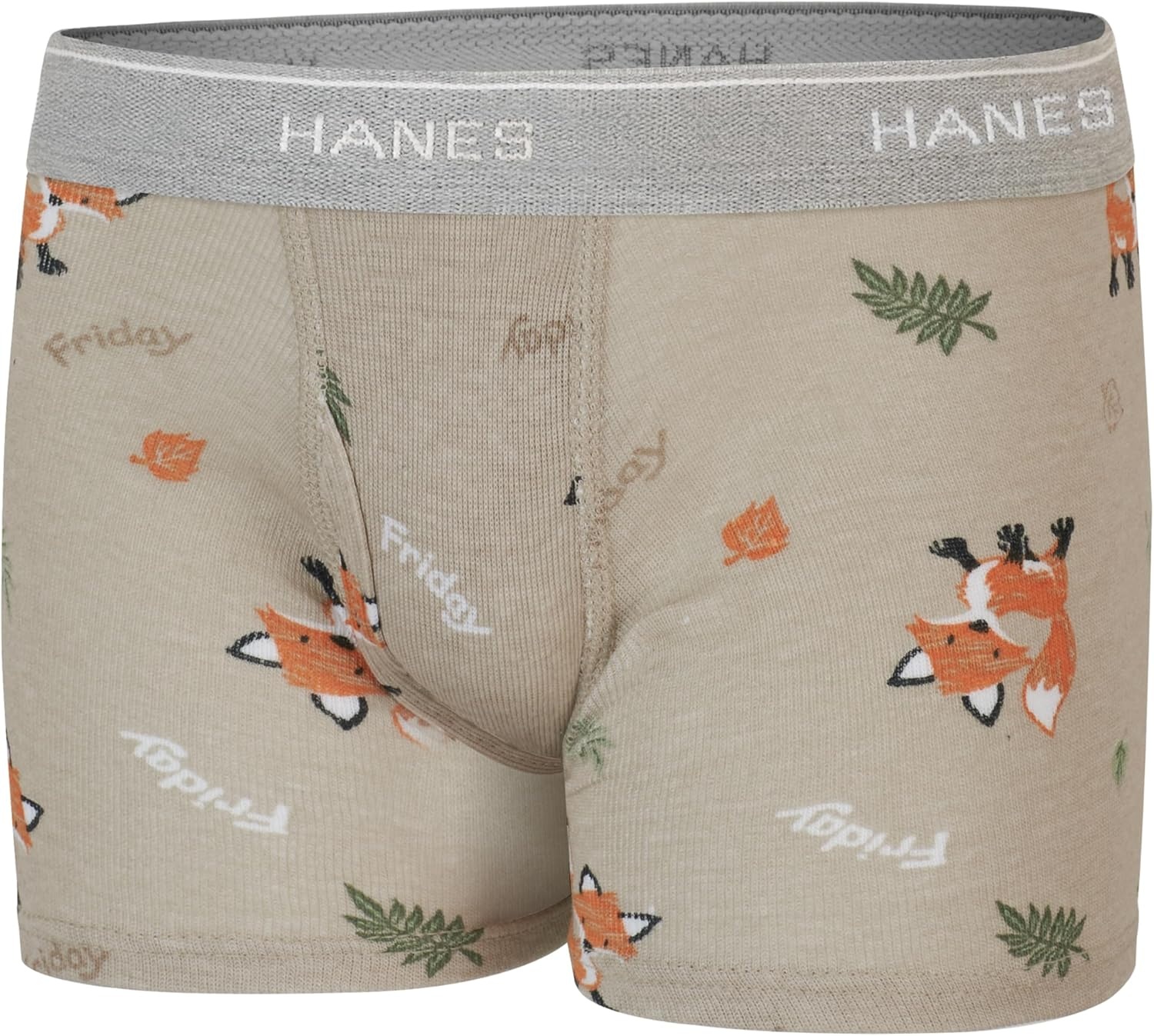 image:imageHanes Boys Boxer Briefs MoistureWicking Underwear for Boys amp Toddlers Assorted 10 or 12 PackDays of the Week Blue Tan Green