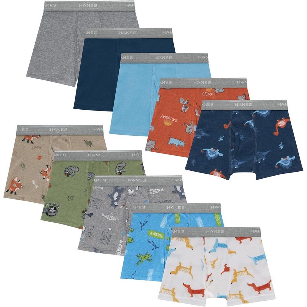 image:imageHanes Boys Boxer Briefs MoistureWicking Underwear for Boys amp Toddlers Assorted 10 or 12 PackDays of the Week  Blue  Tan  Green